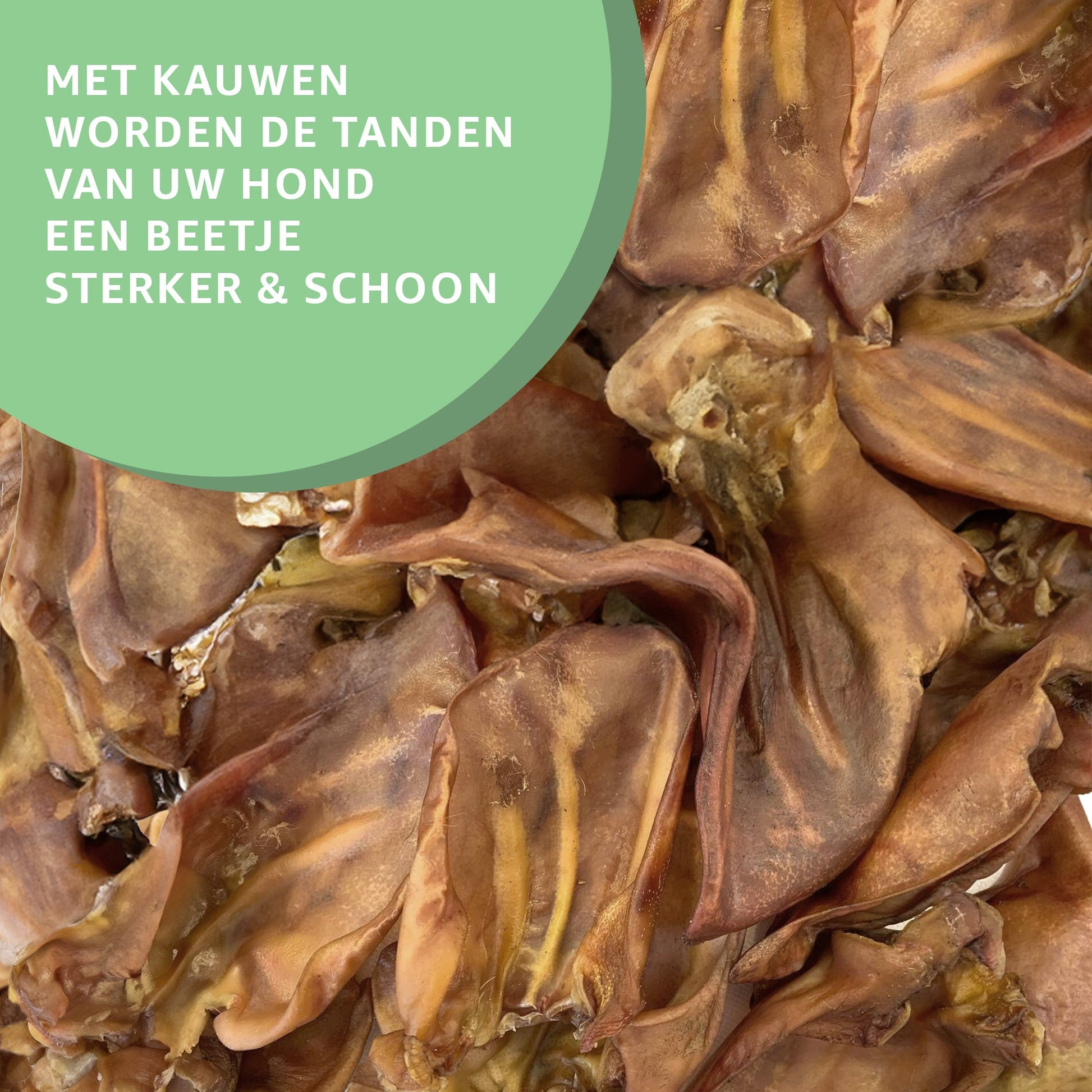 Varkensoren-3
