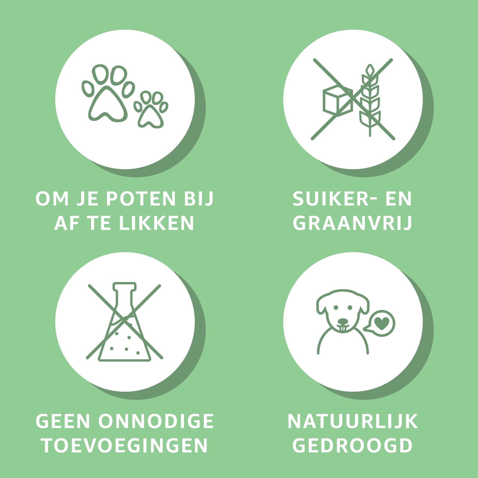 Konijnenoren zonder haar-4